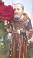 San Padre Pio and also Saint Pius of Pietrelcina Estatue 13 Inc Franciscan Capuchin Priest Stigmatist, and Mystic Estatuilla Religiosa Decor